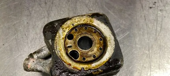 Skoda Octavia Mk2 (1Z) Engine oil radiator 
