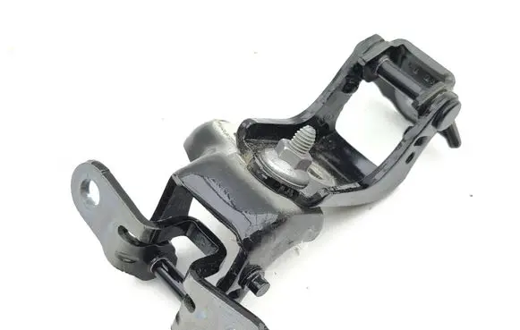 Renault Scenic E-Tech V Rear door hinge set 804007138R
