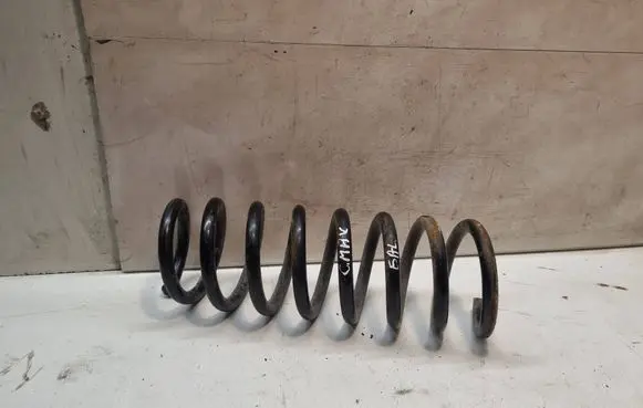 Rear coil spring