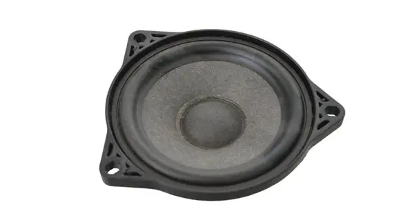 Lexus RX 330 - 350 - 400H Rear door speaker 107974200A