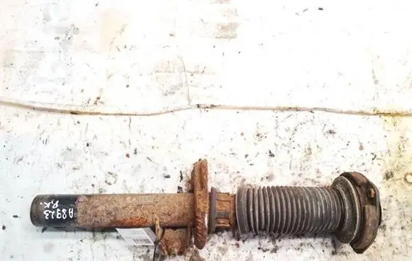 Volkswagen PASSAT B6 Front shock absorber/damper 3c0413031an