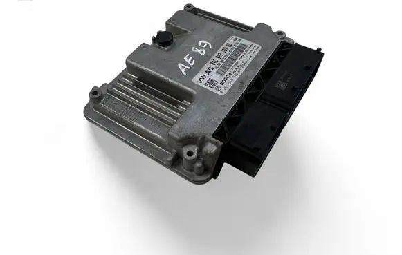 Engine control unit/module ECU
