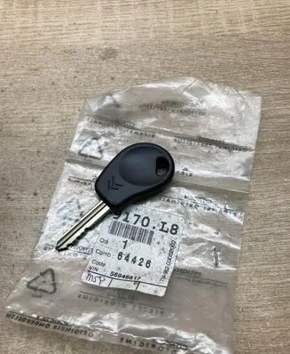 Citroen Saxo Ignition key/card 9170L8