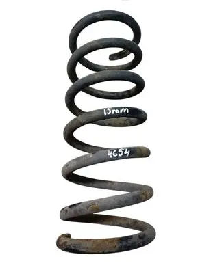 Ford S-MAX Rear coil spring 