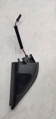 Side speaker trim/cover