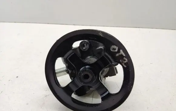 Mitsubishi Outlander Power steering pump 79102024