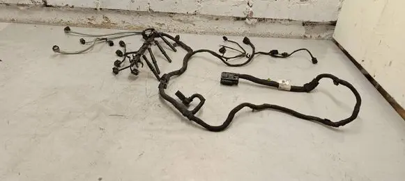 Volkswagen Tiguan Engine installation wiring loom 03l971595ag 03l971595ah