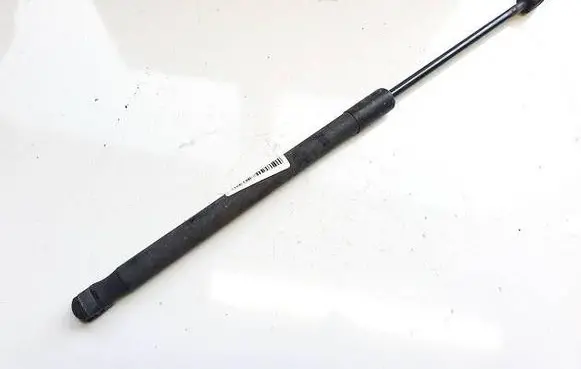 Tailgate/trunk strut/damper