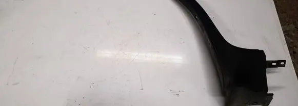 Fender trim (molding)
