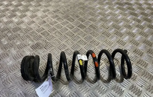 Rear coil spring