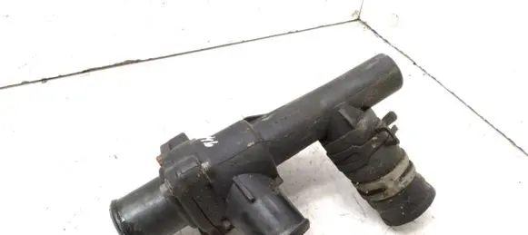 Thermostat/thermostat housing