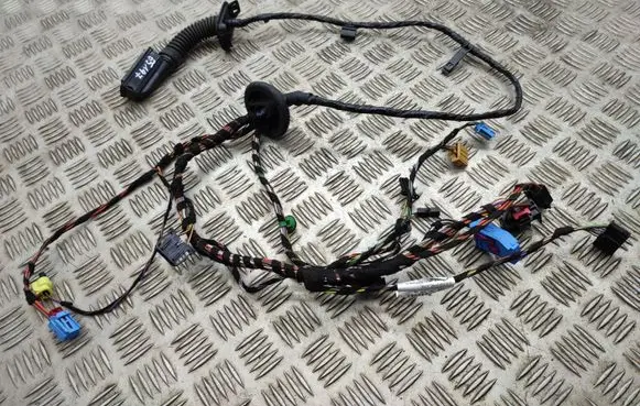 Volkswagen Golf Sportsvan Front door wiring loom 517971120EF