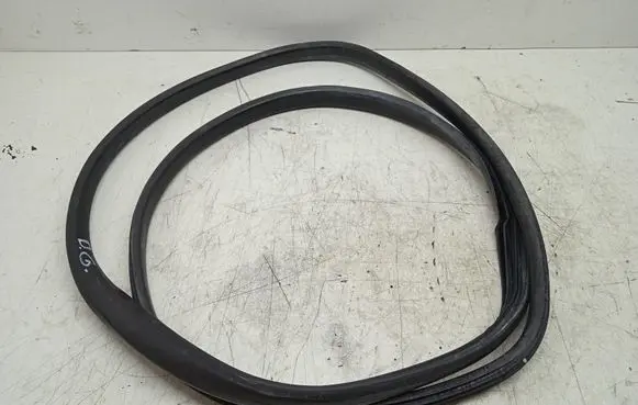 Renault Scenic III - Grand scenic III Rear door rubber seal (on body) 