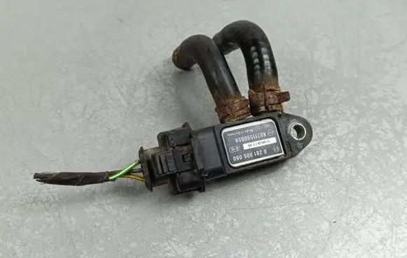 SsangYong Rexton Other control units/modules 0281006080