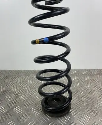 Volkswagen Tiguan Rear coil spring