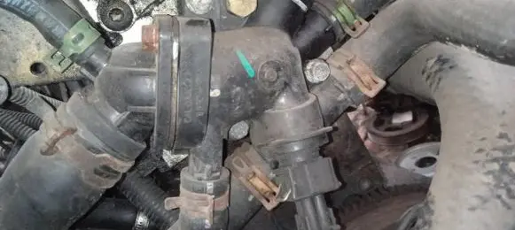 Renault Scenic I Engine coolant pipe/hose