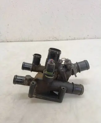 Thermostat/thermostat housing