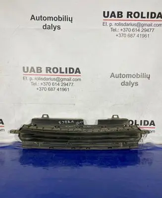 Citroen Xsara Picasso Front bumper upper radiator grill 9658223577