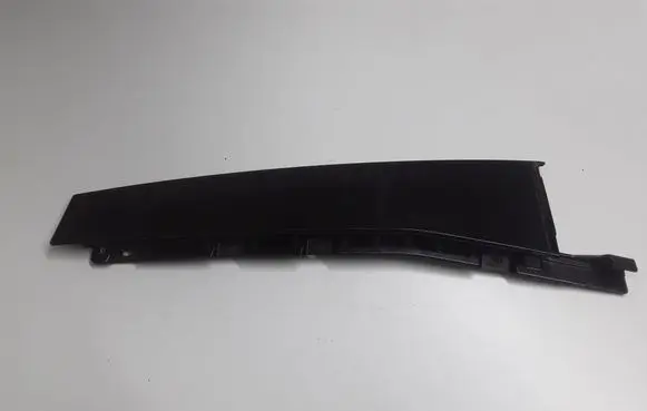 Rear door trim (molding)