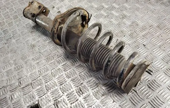 Hyundai Tucson JM Rear shock absorber with coil spring 