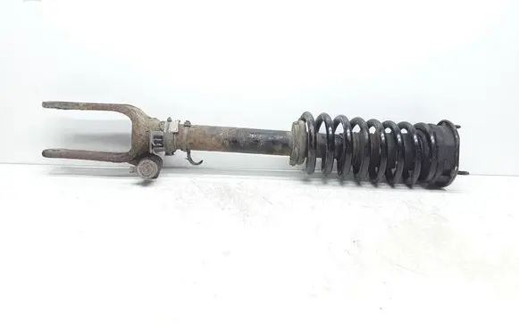 Mercedes-Benz R W251 Front shock absorber with coil spring