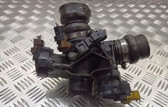 Peugeot 407 Throttle body valve 