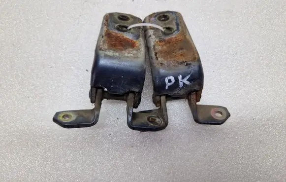 Suzuki Grand Vitara II Front door hinges set