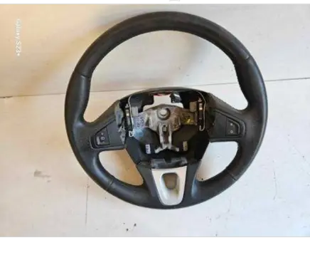 Renault Megane III Other devices 484306291R