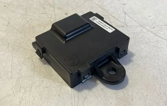 Tesla Model S Door control unit/module 106965100E