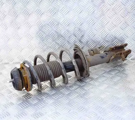 Hyundai i20 (PB PBT) Front shock absorber/damper 46507601J051