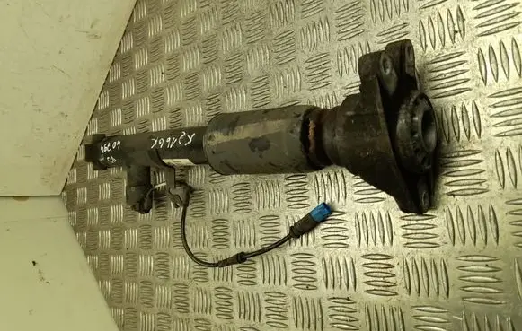 BMW 3 G20 G21 Rear shock absorber/damper 6895063