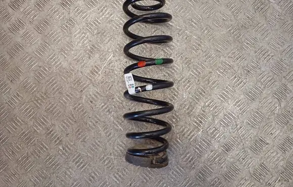 Rear coil spring