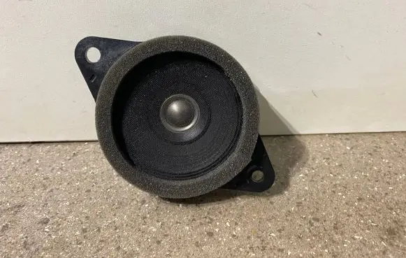 Panel speaker