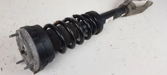 Jaguar F-Pace Front shock absorber with coil spring HK8318B037ME GX733462AC