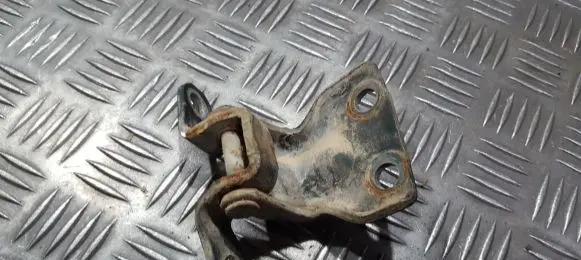 Rear door lower hinge