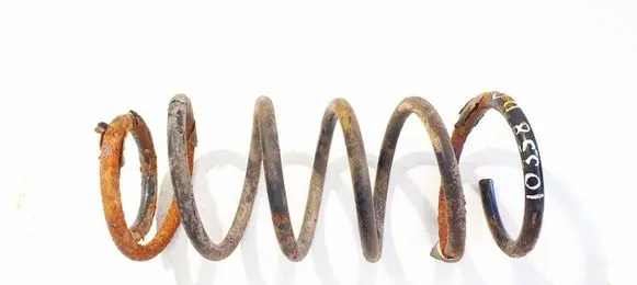 Rear coil spring