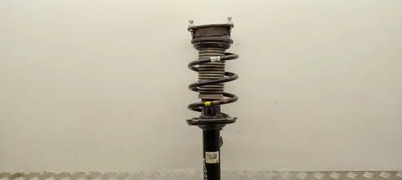 Skoda Kodiaq II Front shock absorber with coil spring 5QS413031S