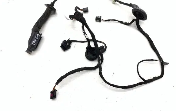 Other wiring loom