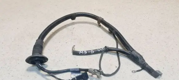 Mercedes-Benz B W245 Positive cable (battery) A1695400209