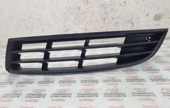 Volkswagen PASSAT B6 Front bumper lower grill