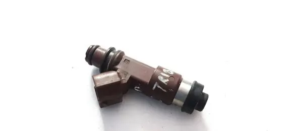 Subaru Tribeca Fuel injector 010052720