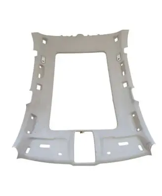 Audi Q5 SQ5 Headlining 8R0867501AA