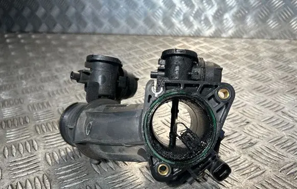 Citroen C4 Grand Picasso Throttle valve 9684269380