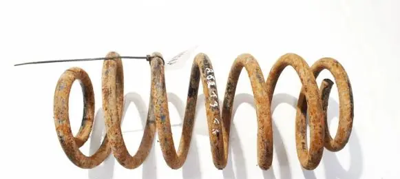 Jeep Grand Cherokee (WJ) Rear coil spring