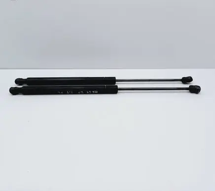 Tailgate/trunk strut/damper