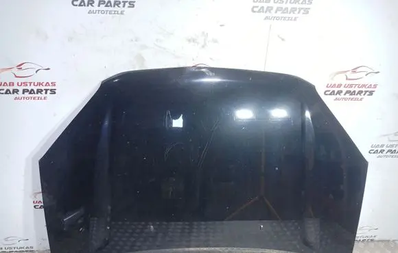Toyota RAV 4 (XA20) Engine bonnet/hood