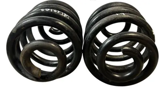Rear coil spring