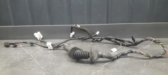 Mitsubishi Space Wagon Front door wiring loom