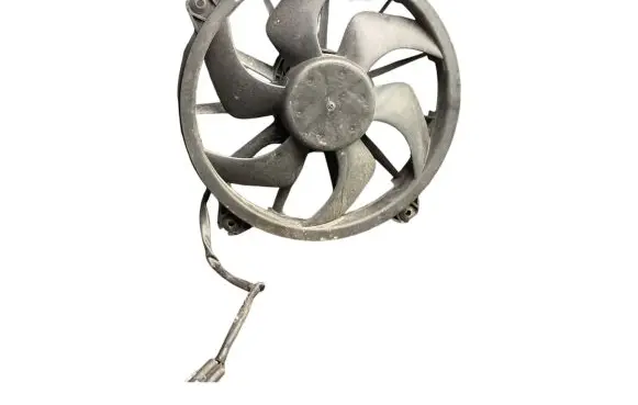 Peugeot Expert Electric radiator cooling fan 0276081 GMV130CEM00