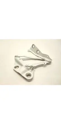 Ford Tourneo Engine bonnet/hood hinges BK21-16800-AD